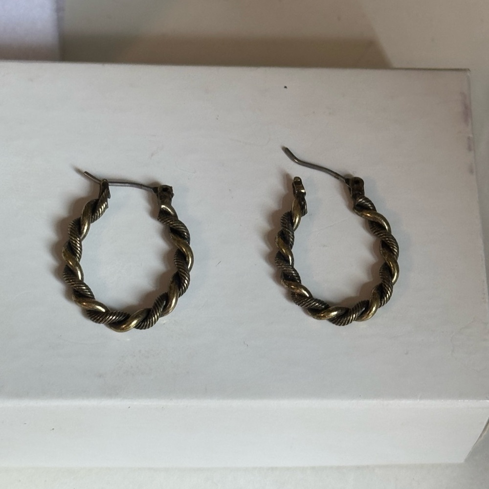 Elegant Twisted Hoop Earrings